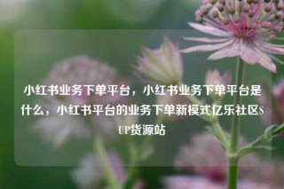 小红书业务下单平台，小红书业务下单平台是什么，小红书平台的业务下单新模式亿乐社区SUP货源站