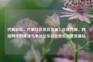 代刷社区，代刷社区低价货源，社区代刷，网络时代的便捷与争议亿乐社区低价自营货源站