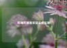 哔哩哔哩播放器设置在哪