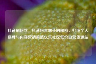 抖音刷粉丝，抖音粉丝增长的秘密，打造个人品牌与内容营销策略亿乐社区低价自营货源站