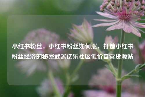 小红书粉丝，小红书粉丝如何涨	，打造小红书粉丝经济的秘密武器亿乐社区低价自营货源站  第1张