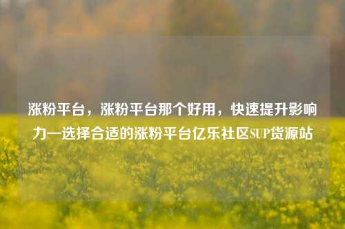 涨粉平台，涨粉平台那个好用，快速提升影响力—选择合适的涨粉平台亿乐社区SUP货源站  第1张