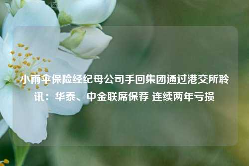 小雨伞保险经纪母公司手回集团通过港交所聆讯：华泰、中金联席保荐 连续两年亏损  第1张