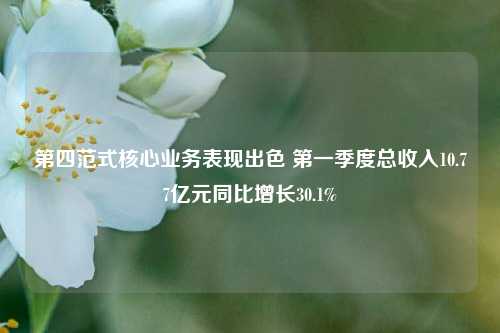 第四范式核心业务表现出色 第一季度总收入10.77亿元同比增长30.1%  第1张