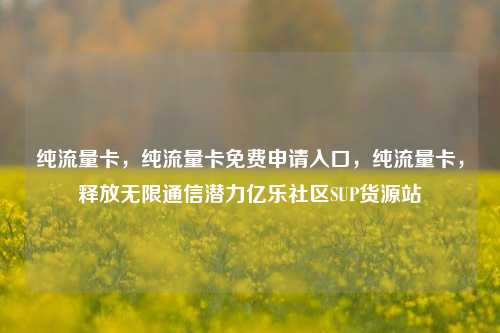 纯流量卡	，纯流量卡免费申请入口，纯流量卡，释放无限通信潜力亿乐社区SUP货源站  第1张