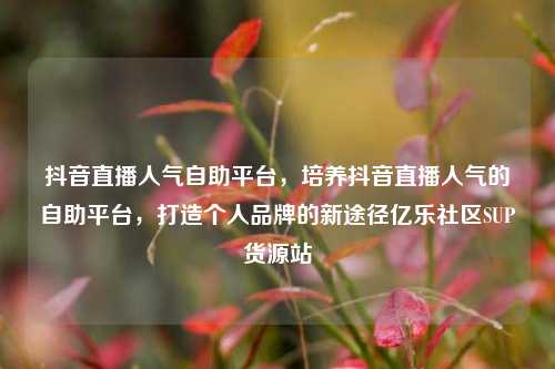 抖音直播人气自助平台	，培养抖音直播人气的自助平台，打造个人品牌的新途径亿乐社区SUP货源站  第1张