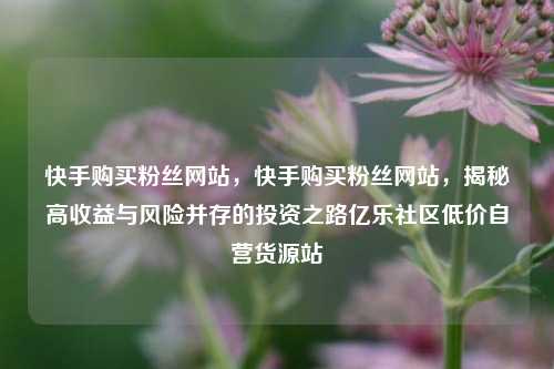 快手购买粉丝网站，快手购买粉丝网站，揭秘高收益与风险并存的投资之路亿乐社区低价自营货源站  第1张