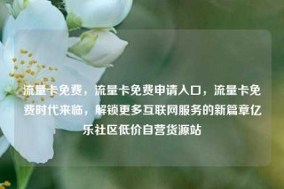 流量卡免费，流量卡免费申请入口，流量卡免费时代来临，解锁更多互联网服务的新篇章亿乐社区低价自营货源站