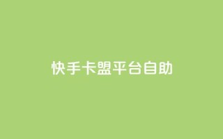 快手卡盟平台自助,子潇网络平台有哪些 - QQ支付平台买赞 - 卡盟最低自助下单官网