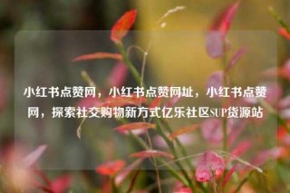 小红书点赞网，小红书点赞网址，小红书点赞网，探索社交购物新方式亿乐社区SUP货源站