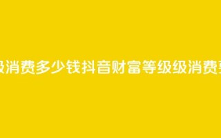 抖音24级财富等级消费多少钱 - 抖音财富等级24级消费要求揭秘！