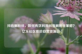 抖音刷粉丝，如何有效利用抖音刷粉丝策略？亿乐社区低价自营货源站