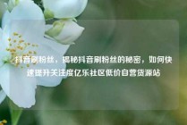 抖音刷粉丝，揭秘抖音刷粉丝的秘密，如何快速提升关注度亿乐社区低价自营货源站
