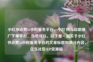小红书点赞24小时服务平台，小红书24h自助推广下单平台，当然可以。以下是一篇关于小红书点赞24小时服务平台的文章标题和部分内容，亿乐社区SUP货源站