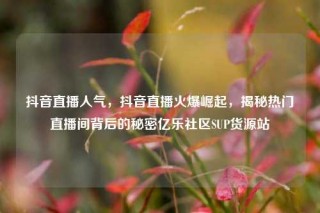 抖音直播人气，抖音直播火爆崛起，揭秘热门直播间背后的秘密亿乐社区SUP货源站