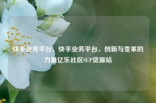 快手业务平台，快手业务平台，创新与变革的力量亿乐社区SUP货源站