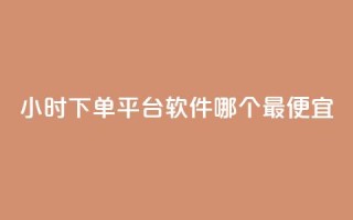 24小时下单平台软件哪个最便宜,dy评论点赞充值24小时到账 - qq绿钻便宜充值网站 - 自助下单拼多多