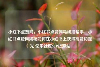 小红书点赞网，小红书点赞网马线报帮手，小红书点赞网揭秘如何在小红书上获得高赞和曝光 亿乐社区SUP货源站