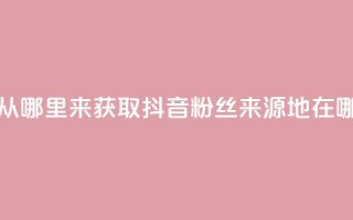 抖音粉丝从哪里来获取 - 抖音粉丝来源地在哪里！