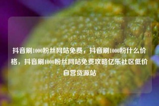 抖音刷1000粉丝网站免费，抖音刷1000粉什么价格，抖音刷1000粉丝网站免费攻略亿乐社区低价自营货源站