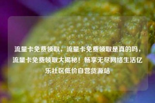 流量卡免费领取，流量卡免费领取是真的吗，流量卡免费领取大揭秘！畅享无尽网络生活亿乐社区低价自营货源站