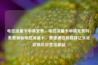 电信流量卡申请免费，电信流量卡申请免费吗，免费领取电信流量卡，便捷通信新选择亿乐社区低价自营货源站