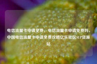 电信流量卡申请免费，电信流量卡申请免费吗，中国电信流量卡申请免费攻略亿乐社区SUP货源站
