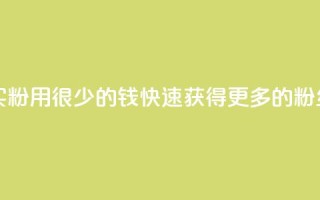 一块钱买1000粉 - 用很少的钱快速获得更多的粉丝！!