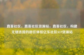 直客社区，直客社区货源站，直客社区，构建无缝连接的居住体验亿乐社区SUP货源站