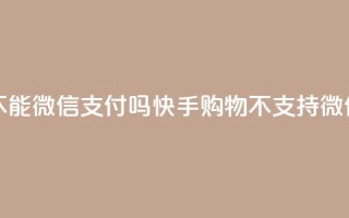 快手买东西不能微信支付吗 - 快手购物不支持微信支付？！