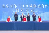 下辖各区密集“联手”，南京在下一盘什么样的棋？