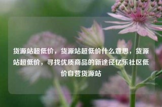 货源站超低价，货源站超低价什么意思，货源站超低价，寻找优质商品的新途径亿乐社区低价自营货源站