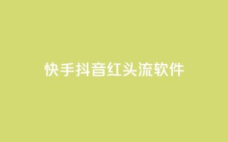 快手抖音红头流软件 - 点购买平台