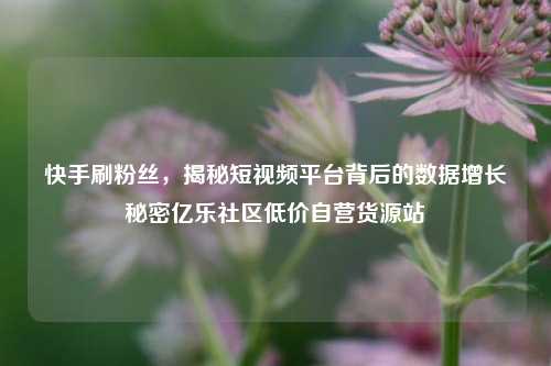 快手刷粉丝，揭秘短视频平台背后的数据增长秘密亿乐社区低价自营货源站  第1张