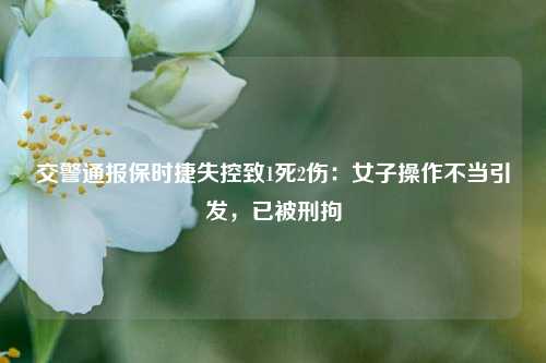 交警通报保时捷失控致1死2伤：女子操作不当引发，已被刑拘  第1张