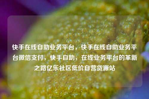 快手在线自助业务平台，快手在线自助业务平台微信支付	，快手自助，在线业务平台的革新之路亿乐社区低价自营货源站  第1张
