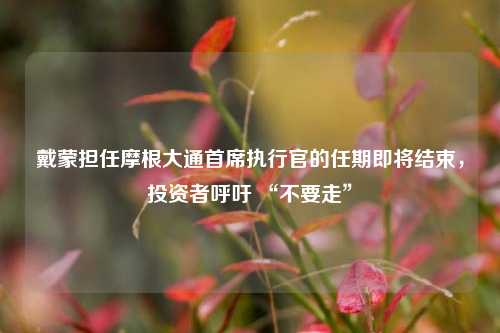 戴蒙担任摩根大通首席执行官的任期即将结束	，投资者呼吁 “不要走”  第1张