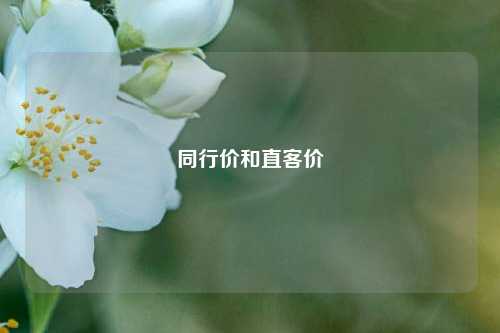 同行价和直客价  第1张