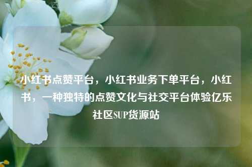 小红书点赞平台，小红书业务下单平台，小红书	，一种独特的点赞文化与社交平台体验亿乐社区SUP货源站  第1张