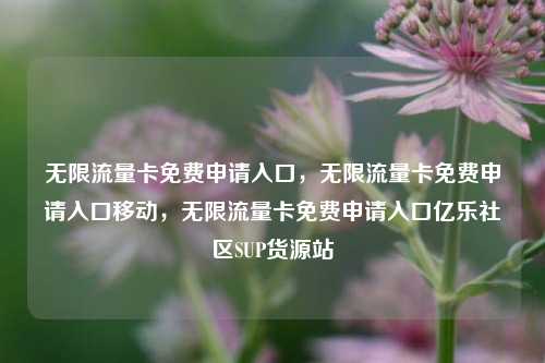 无限流量卡免费申请入口	，无限流量卡免费申请入口移动，无限流量卡免费申请入口亿乐社区SUP货源站  第1张