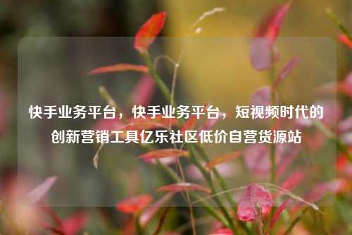 快手业务平台，快手业务平台	，短视频时代的创新营销工具亿乐社区低价自营货源站  第1张