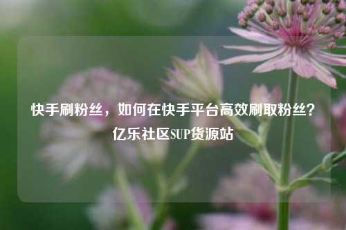 快手刷粉丝，如何在快手平台高效刷取粉丝？亿乐社区SUP货源站  第1张