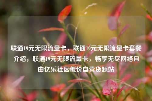 联通19元无限流量卡，联通19元无限流量卡套餐介绍	，联通19元无限流量卡，畅享无尽网络自由亿乐社区低价自营货源站  第1张