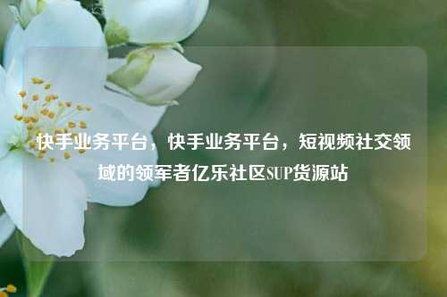 快手业务平台，快手业务平台	，短视频社交领域的领军者亿乐社区SUP货源站  第1张