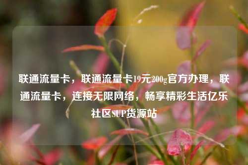 联通流量卡，联通流量卡19元200g官方办理	，联通流量卡，连接无限网络，畅享精彩生活亿乐社区SUP货源站  第1张