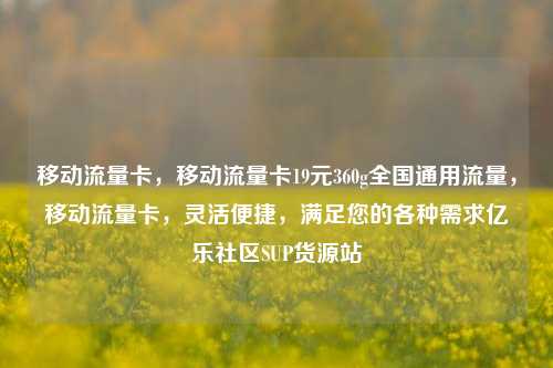 移动流量卡，移动流量卡19元360g全国通用流量，移动流量卡	，灵活便捷，满足您的各种需求亿乐社区SUP货源站  第1张