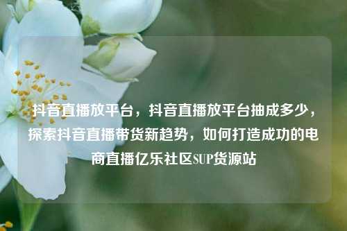 抖音直播放平台，抖音直播放平台抽成多少，探索抖音直播带货新趋势，如何打造成功的电商直播亿乐社区SUP货源站  第1张