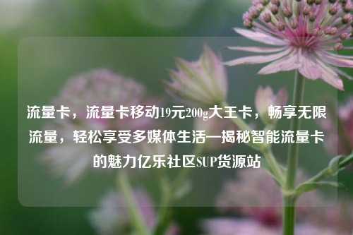 流量卡	，流量卡移动19元200g大王卡，畅享无限流量，轻松享受多媒体生活—揭秘智能流量卡的魅力亿乐社区SUP货源站  第1张