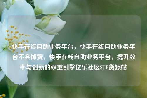 快手在线自助业务平台，快手在线自助业务平台不会掉赞	，快手在线自助业务平台，提升效率与创新的双重引擎亿乐社区SUP货源站  第1张