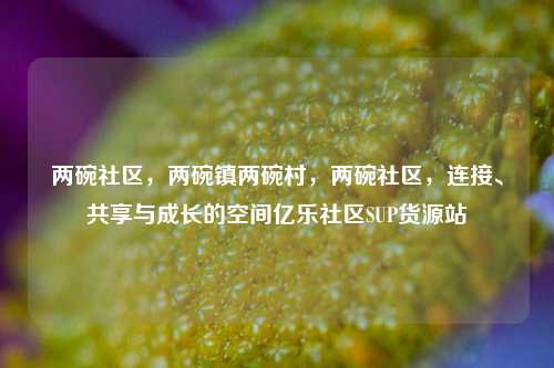 两碗社区，两碗镇两碗村	，两碗社区，连接、共享与成长的空间亿乐社区SUP货源站  第1张